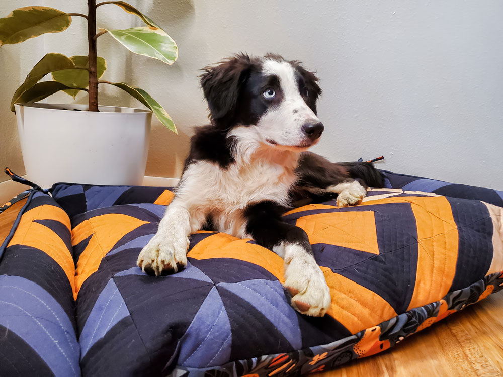 quilted-dog-bed-free-pattern-instaquilting